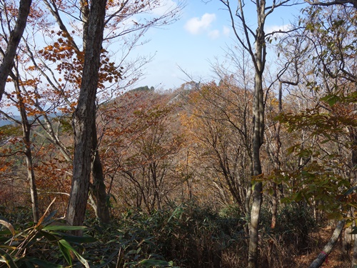 保口岳
