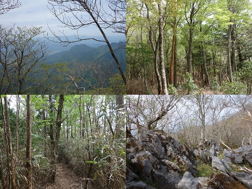 京丈山への縦走