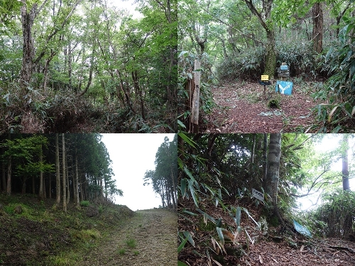 小金峰への登山道