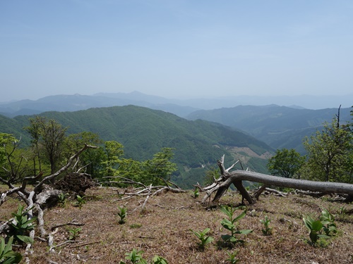 山頂から